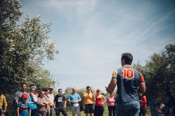 Baeza: Visit to an Ecological Olive Grove + Olive Oil Tasting - Exploring the Olive Grove