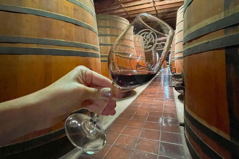 Bahái Temple and Cousiño Macul Vineyard - Historic Vineyard and Exquisite Wines