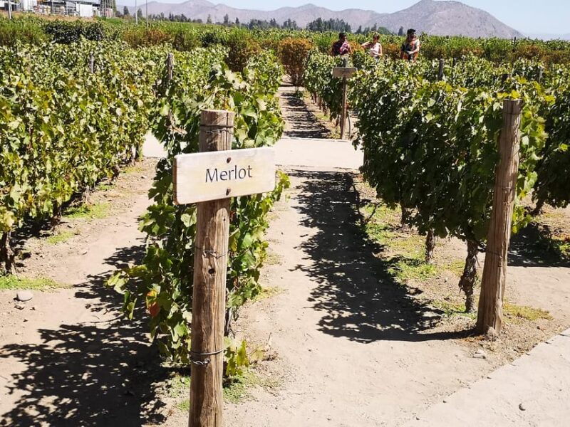 Bahá'í Temple, Winery and Lapis Lazuli + Private Transport - Cultural Immersion