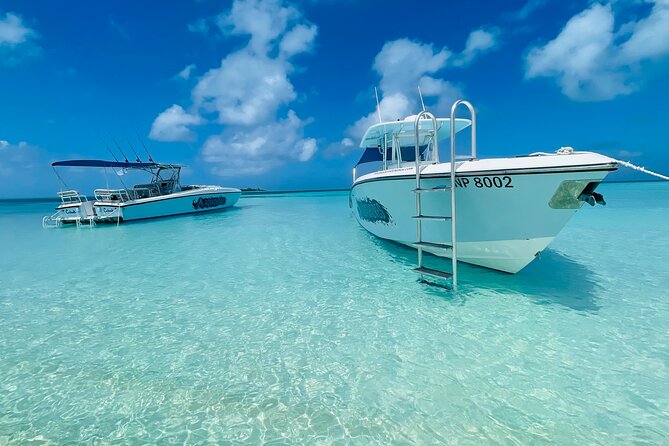 Bahamas Adventure: Pigs, Reef, Turtles, and Beach With Lunch - Included Amenities