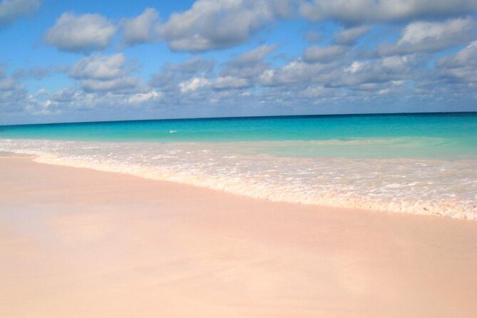 Bahamas Famous Pink Sand and Pig Experience With Snorkeling - Accessibility and Participation