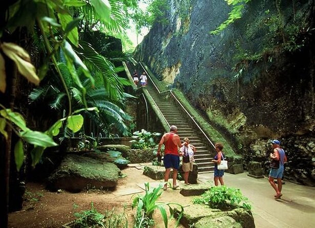 Bahamas Instagram Photo Tour & Chocolate Factory Tour - 2.5 Hours - About Your Stay