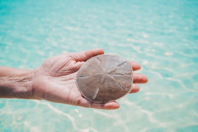 Bahamas Local Water Tours to George Town and Exuma - Confirmation and Participation