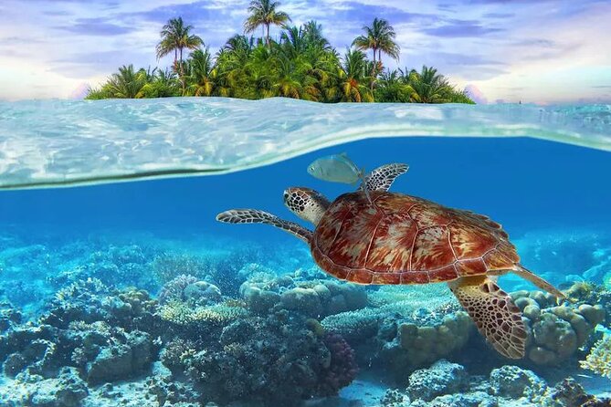 Bahamas Local Water Tours to George Town and Exuma - Additional Considerations