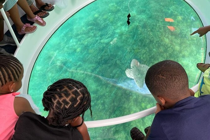 Bahamas on a Semi Submersive Glass Bottom Boat - Traveler Reviews and Recommendations