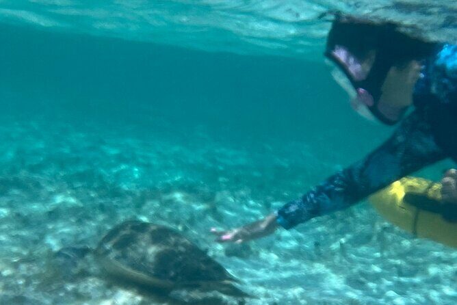 Bahamas Sea Scooter Snorkeling Adventure - Pricing and Value Analysis