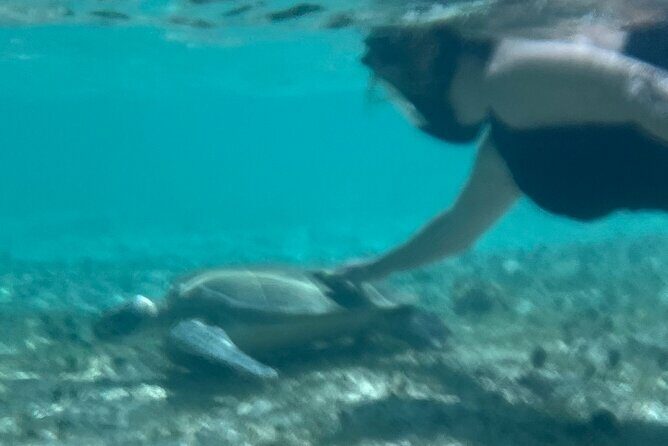 Bahamas Sea Scooter Snorkeling Adventure - Who Will Love This Tour?