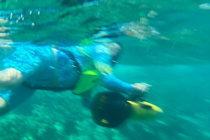 Bahamas Sea Scooter Snorkeling Adventure - FAQ