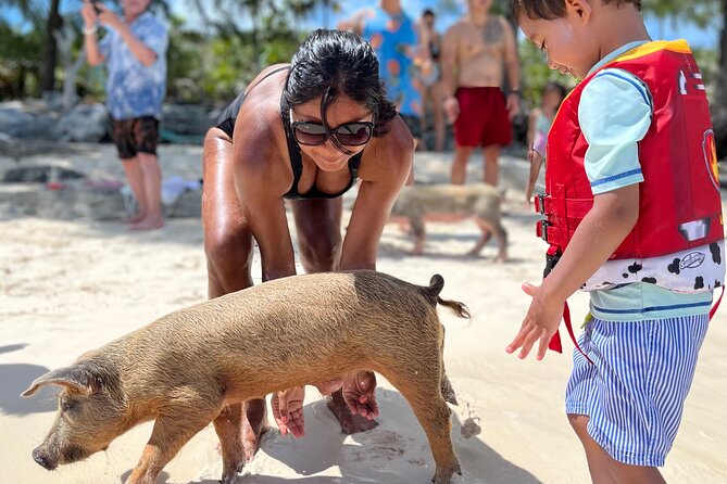 Bahamas Swimming Pigs Experience on Rose Island - What to Expect