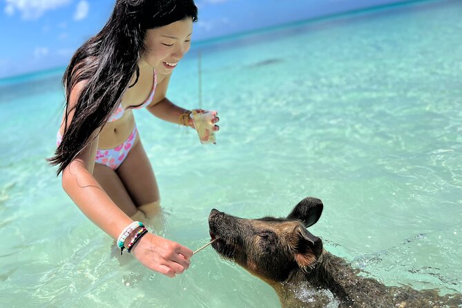 Bahamas Swimming Pigs Experience on Rose Island - Participant Feedback