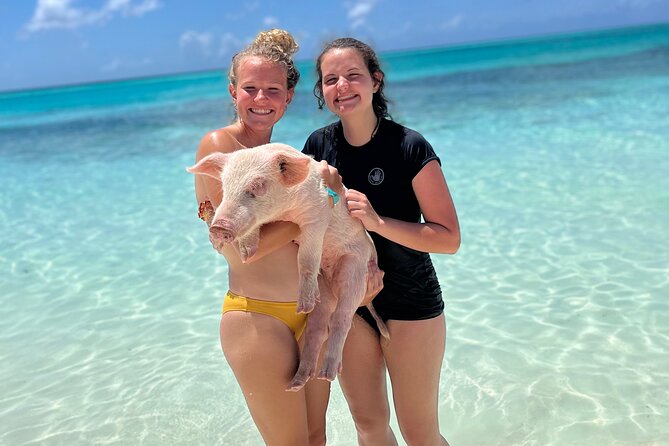Bahamas Swimming Pigs Experience on Rose Island - Summary of Experiences
