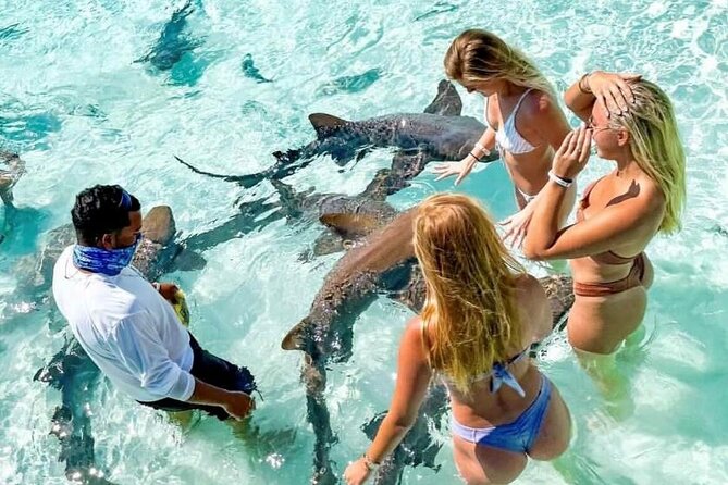 Bahamas Swimming Pigs Full Day Exuma Boat Tour - Tour Overview