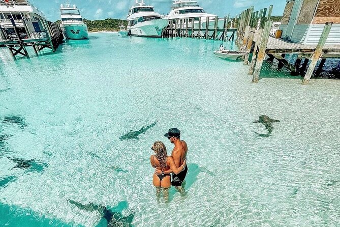 Bahamas Swimming Pigs Full Day Exuma Boat Tour - Customer Feedback