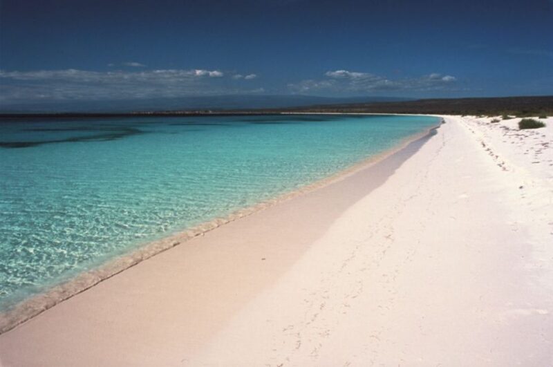 Bahía De Las Aguilas: Beach Day Trip by Boat - Inclusions and Exclusions