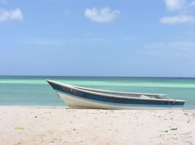 Bahía De Las Aguilas: Beach Day Trip by Boat - Beach Paradise of Bahía De Las Aguilas