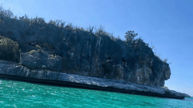 Bahía De Las Águilas Glamping Experience From Santo Domingo - Included Meals and Transportation