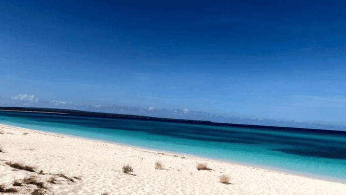 Bahía De Las Águilas Glamping Experience From Santo Domingo - Additional Services Available