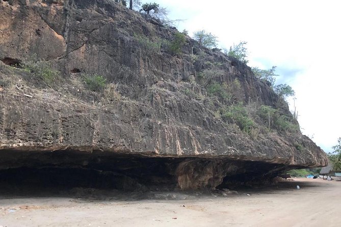 Bahía De Las Águilas Glamping Experience From Santo Domingo - Included Meals and Transportation