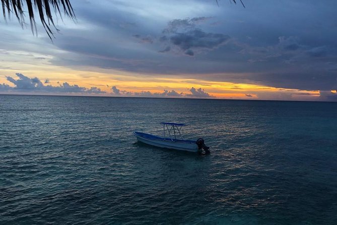 Bahía De Las Águilas Glamping Experience From Santo Domingo - Pricing and Cancellation Policy