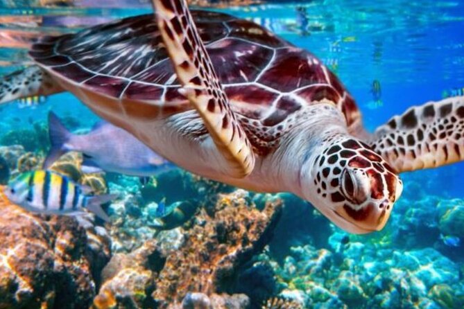 Bahia Principe Ambar - Round Trip Shuttle - Punta Cana Airport - Pickup and Drop-off Locations