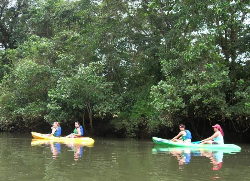 Bahia Solano With Whales - Overview and Pricing