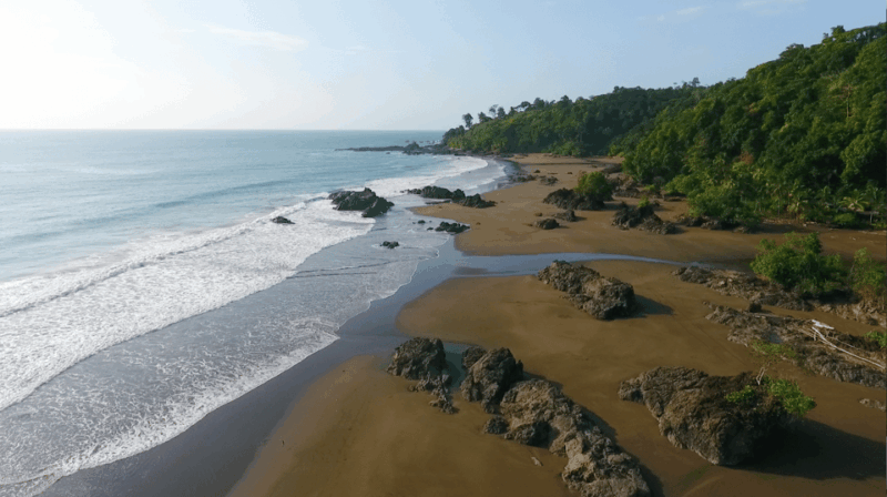 Bahia Solano With Whales - Inclusions