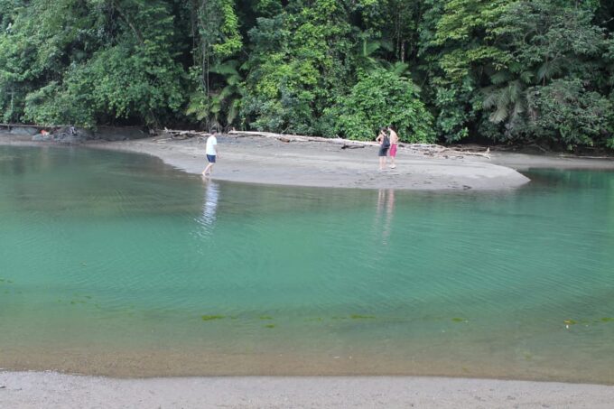 Bahia Solano With Whales - Additional Information