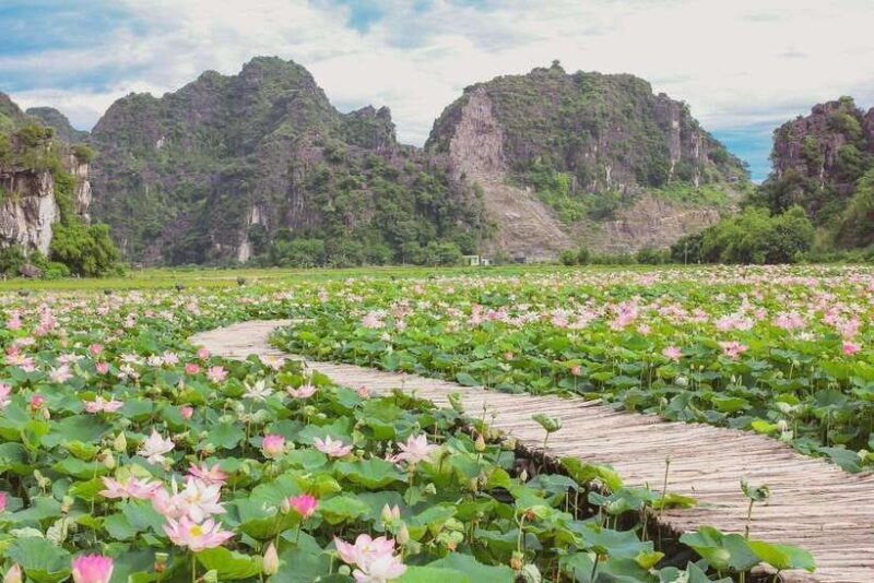 Bai Dinh Pagoda and Trang An Eco-Tourism Day Group Tour - Highlights