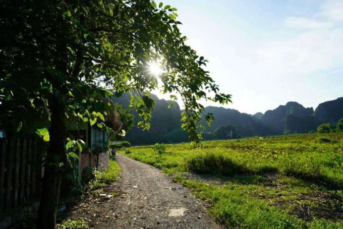 Bai Dinh - Trang An - Mua Cave Full Day - Mua Caves: Breathtaking Panoramic Views