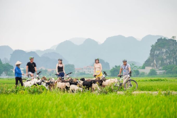 Bai Dinh - Trang an - Mua Cave With Lunch and Electric Car - Frequently Asked Questions