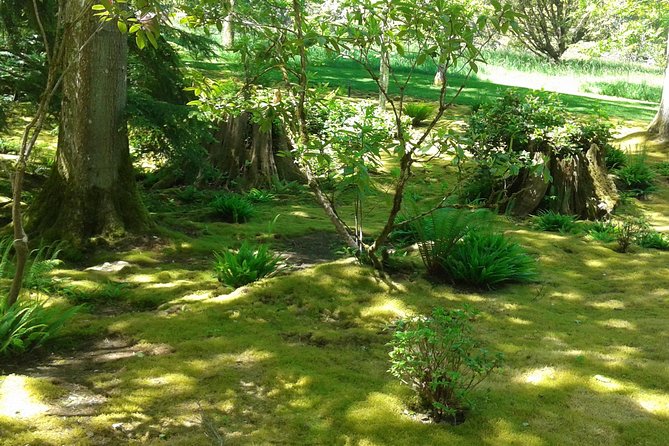 Bainbridge Island Nature Reserve Walk With Lunch - Encounter With Local Wildlife