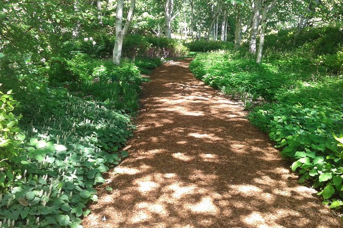 Bainbridge Island Nature Reserve Walk With Lunch - Enjoying the Provided Lunch