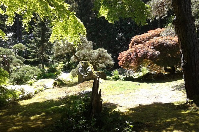 Bainbridge Island Nature Reserve Walk With Lunch - Planning Your Visit to Bainbridge