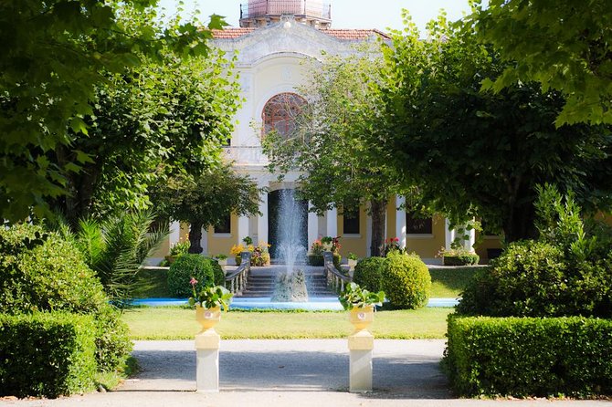 Bairrada Private Tour (Luso & Curia Villages) With Wine Tasting - Local Language Support