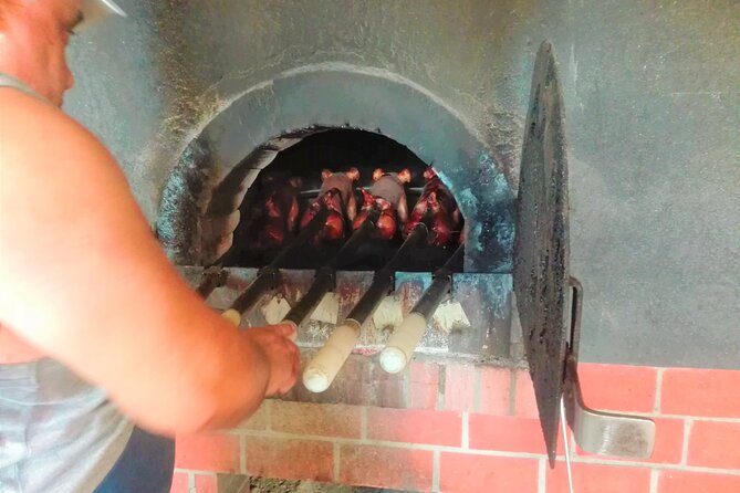 Bairrada Winery Route Experience, Full-Day From Coimbra - Key Points