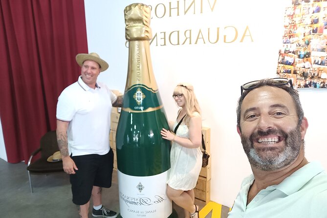 Bairrada Winery Route Experience, Full-Day From Coimbra - Accessibility and Medical Considerations