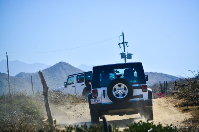 Baja Jeep Tour to Santiago From Los Cabos: Drive or Ride - Participant Requirements and Recommendations