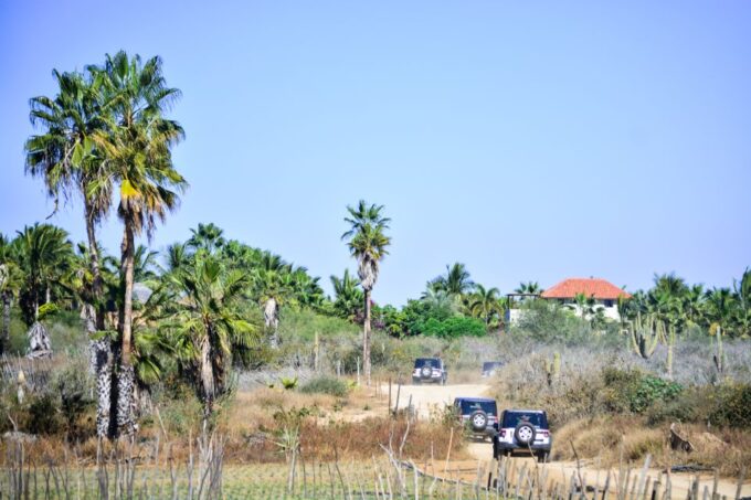 Baja Jeep Tour to Santiago From Los Cabos: Drive or Ride - Customer Feedback