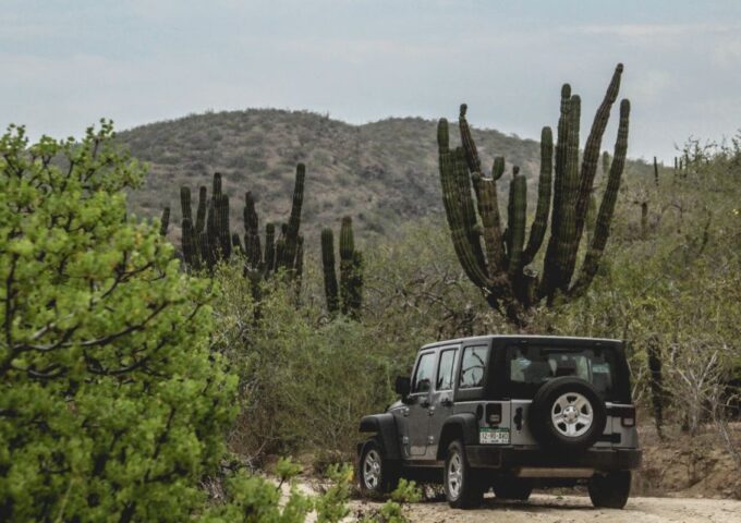 Baja Jeep Tour to Santiago From Los Cabos: Drive or Ride - Exploring the Baja Desert