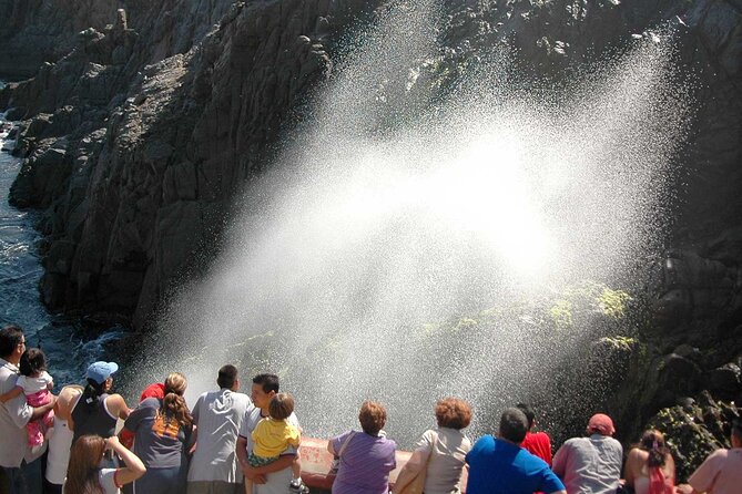 Baja Mexico One Day Regional Tour - Highlights
