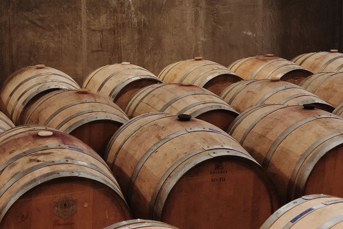 Baja Tour Guide Wine Tour - Experience Highlights