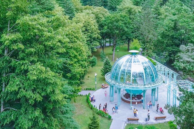 Bakuriani and Borjomi Full Day Tour  - Tbilisi - Guest Reviews and Ratings
