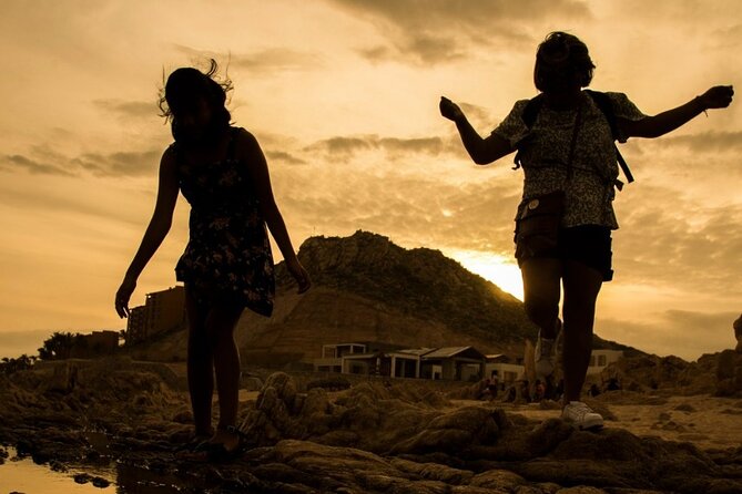 Balandra Beach & City Tour La Paz & Todo Santos Hotel California - Transportation and Comfort