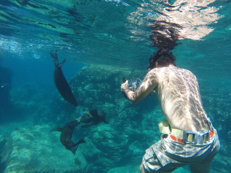 Balandra & San Rafaelito: Sightseeing & Snorkelling - Preparation and Meeting Details