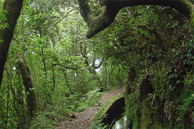 Balcões Walk & A-Framed Houses Tour - Pricing and Cancellation Policy
