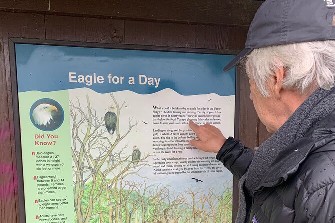 Bald Eagles Nesting Area Tour at Skagit River - Inclusions and Amenities