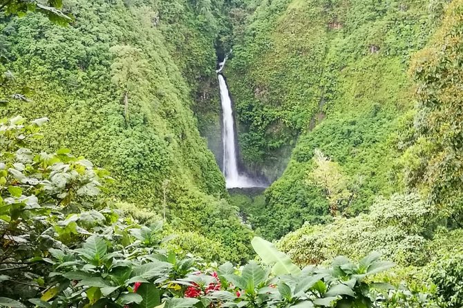 Baldi Hot Springs Arenal Volcano Fortuna Waterfall From San José - Accessibility and Requirements