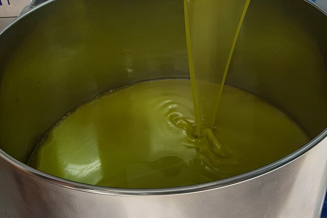 Bale, Rovinj and Vodnjan With Olive Oil Tasting From Pula - Practical Information and Recommendations