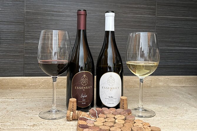 Balestrate:Olive Grove Tour& Tasting of Wine, Olive Oil, Balsamic - Olive Oil and Wine Tasting