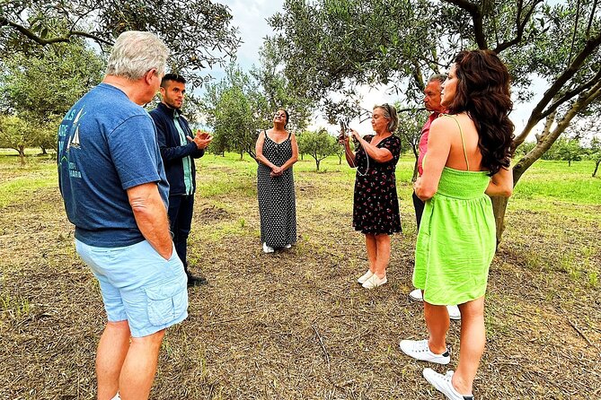 Balestrate:Olive Grove Tour& Tasting of Wine, Olive Oil, Balsamic - Educational Aspects